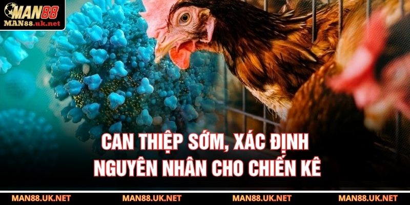 Can thiệp sớm, xác định nguyên nhân cho chiến kê
